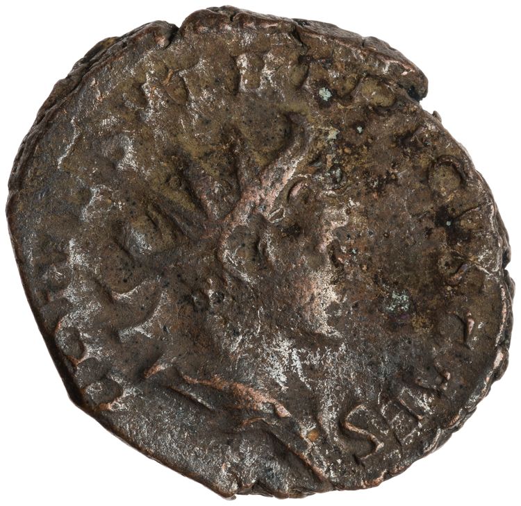 RIC V Tetricus I 224, аверс, American Numismatic Society (ans)