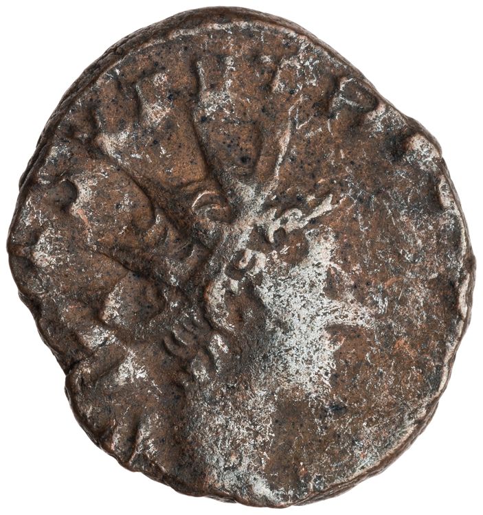RIC V Tetricus I 224, аверс, American Numismatic Society (ans)