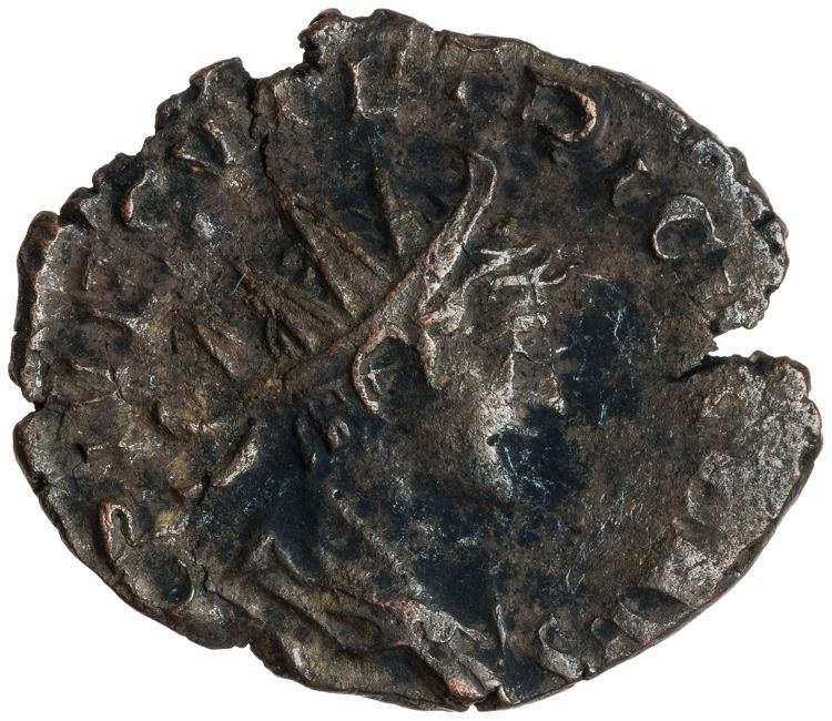 RIC V Tetricus I 224, аверс, American Numismatic Society (ans)
