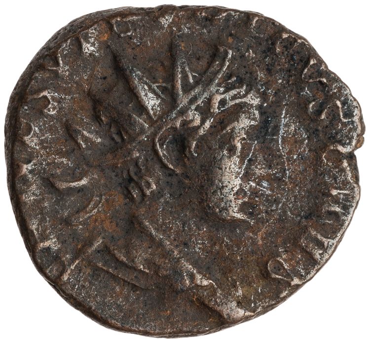 RIC V Tetricus I 224, аверс, American Numismatic Society (ans)