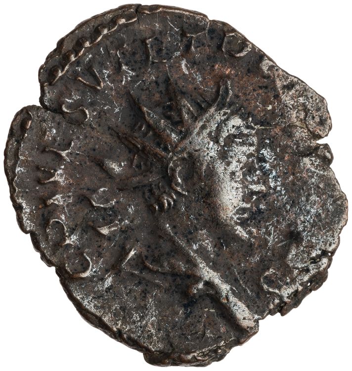 RIC V Tetricus I 224, аверс, American Numismatic Society (ans)