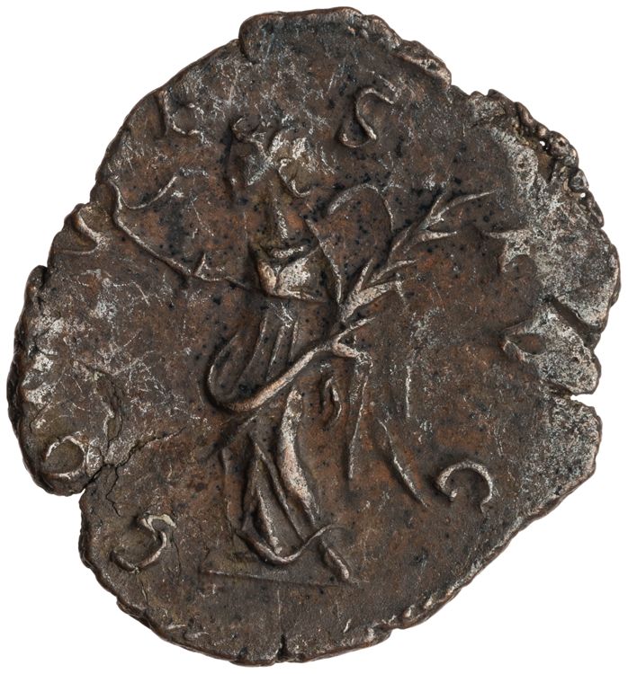 RIC V Tetricus I 224, реверс, American Numismatic Society (ans)