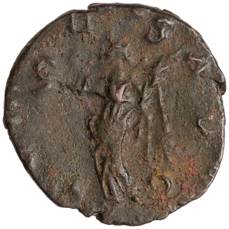 RIC V Tetricus I 224, реверс, American Numismatic Society (ans)