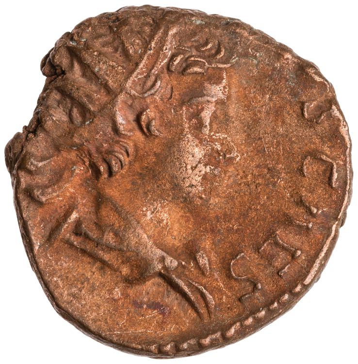 RIC V Tetricus I 224, аверс, American Numismatic Society (ans)