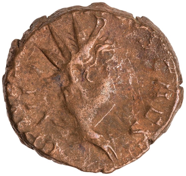 RIC V Tetricus I 224, аверс, American Numismatic Society (ans)