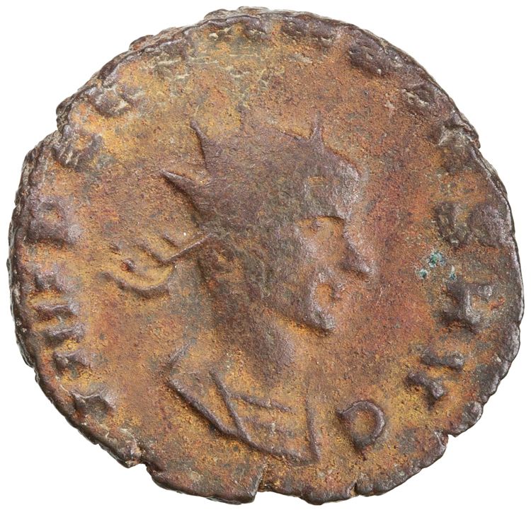 RIC V Claudius Gothicus 98, obverse, American Numismatic Society (ans)