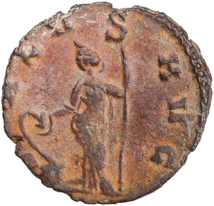 RIC V Claudius Gothicus 98, reverse, American Numismatic Society (ans)