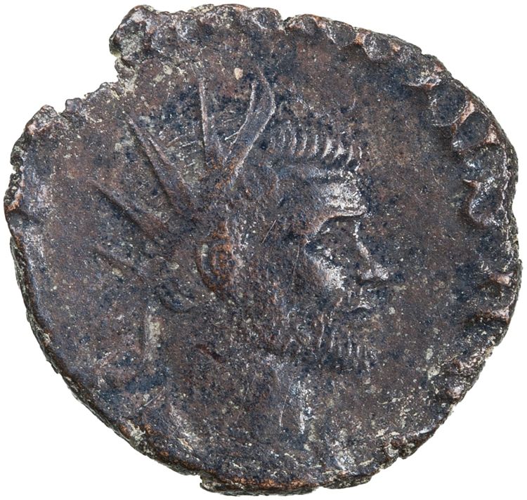 RIC V Claudius Gothicus 98, obverse, American Numismatic Society (ans)