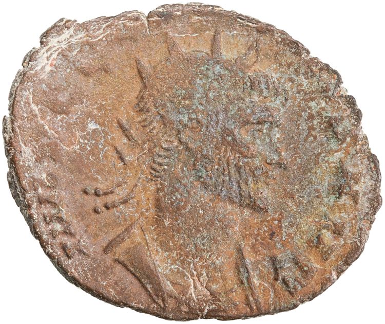 RIC V Claudius Gothicus 98, obverse, American Numismatic Society (ans)