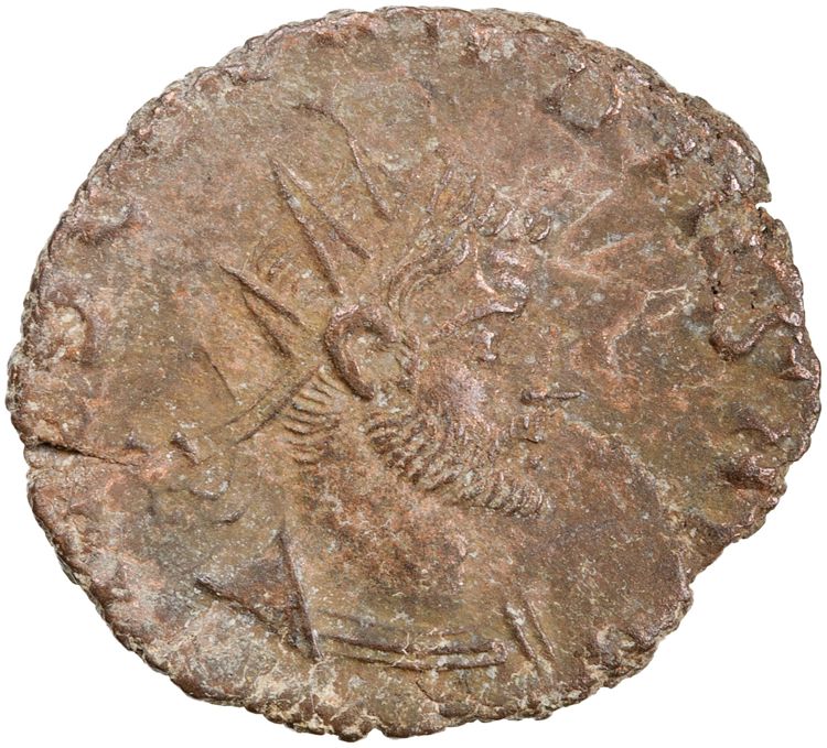 RIC V Claudius Gothicus 98, obverse, American Numismatic Society (ans)