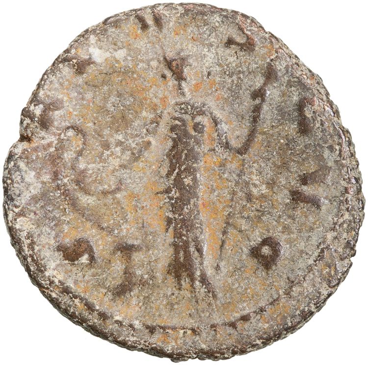 RIC V Claudius Gothicus 98, reverse, American Numismatic Society (ans)