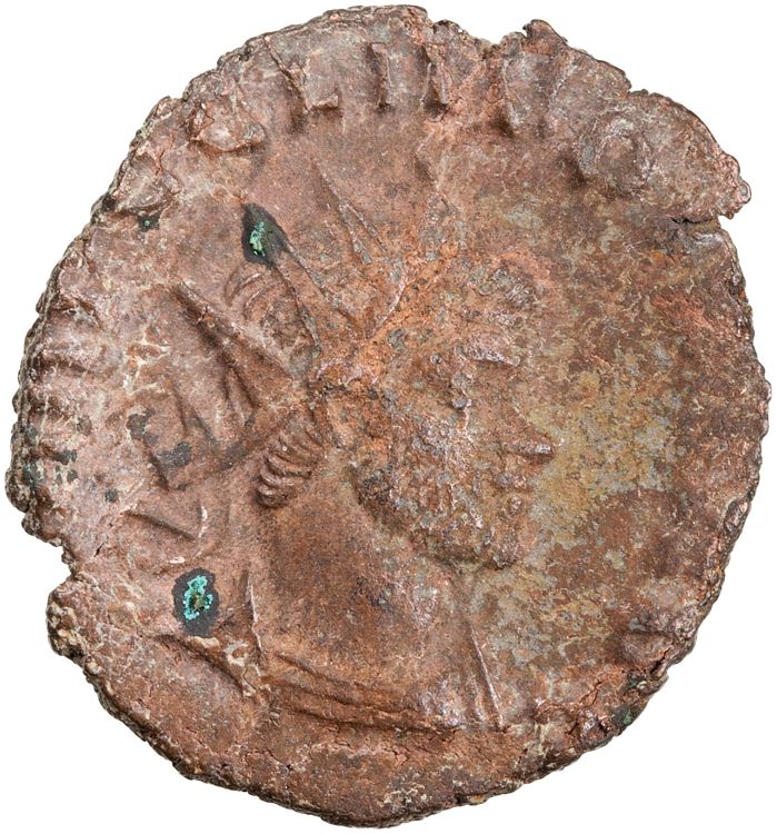 RIC V Claudius Gothicus 98, obverse, American Numismatic Society (ans)