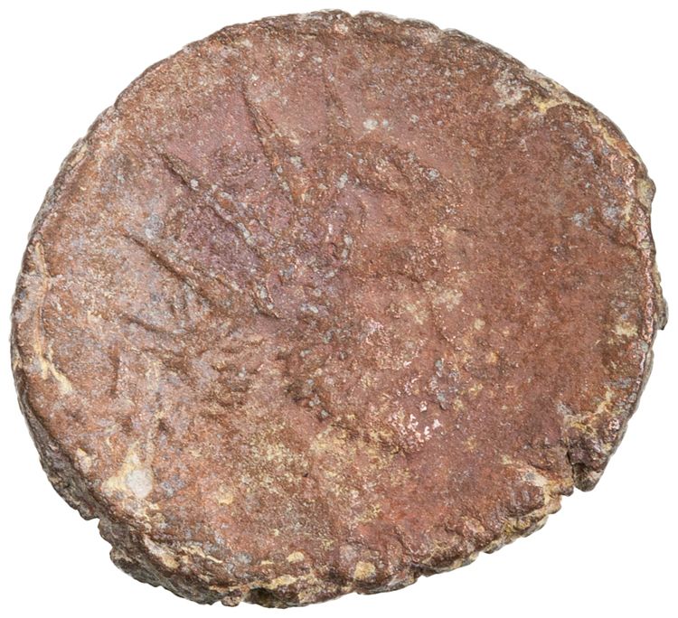 RIC V Claudius Gothicus 98, obverse, American Numismatic Society (ans)