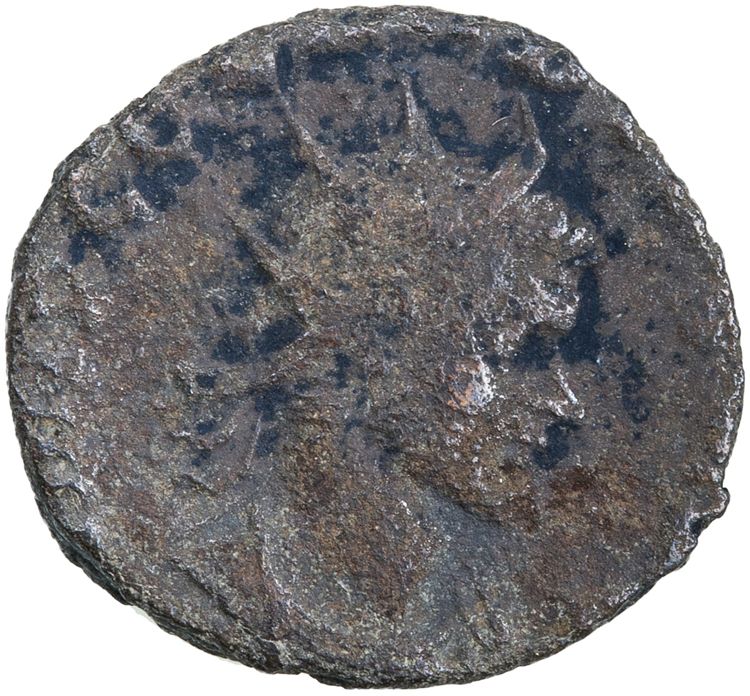 RIC V Claudius Gothicus 98, obverse, American Numismatic Society (ans)