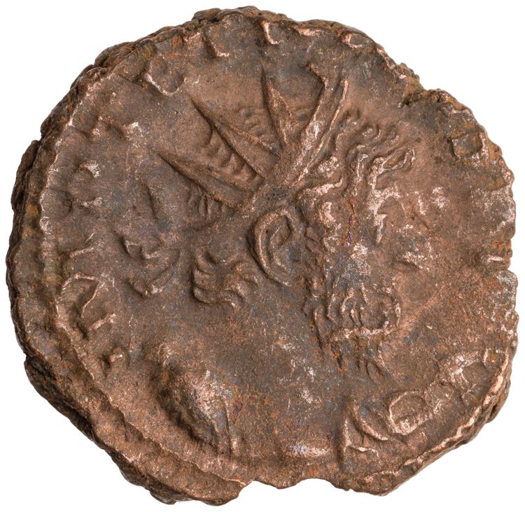 RIC V Tetricus I 127, obverse, American Numismatic Society (ans)