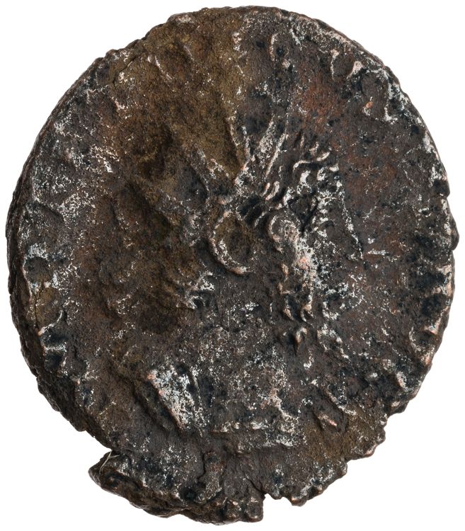 RIC V Tetricus I 127, obverse, American Numismatic Society (ans)