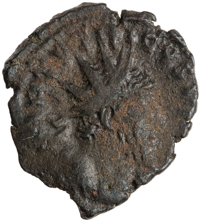RIC V Tetricus I 127, obverse, American Numismatic Society (ans)
