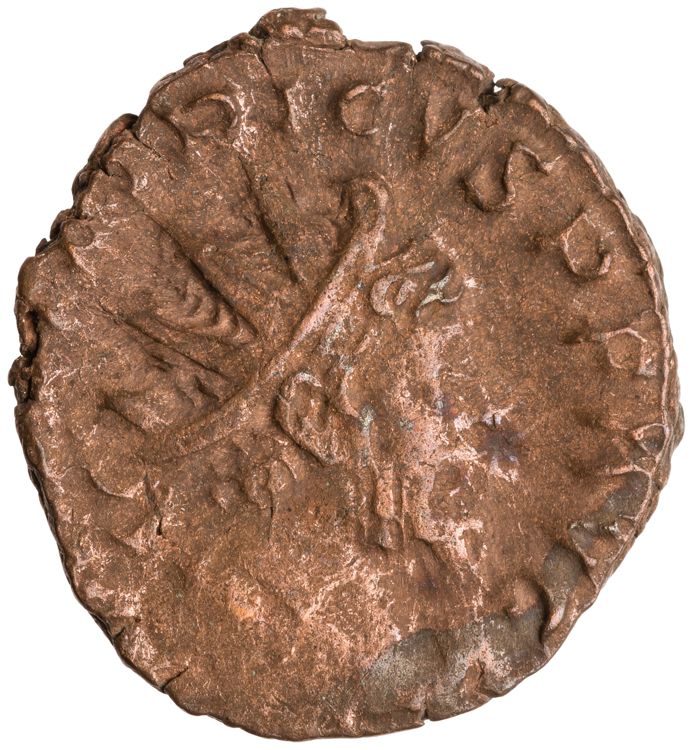 RIC V Tetricus I 127, obverse, American Numismatic Society (ans)