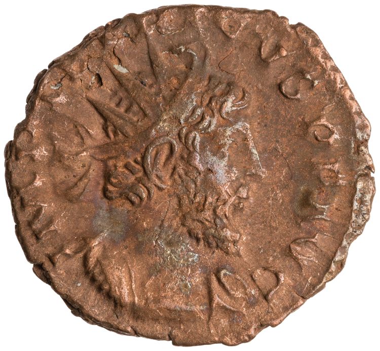 RIC V Tetricus I 127, obverse, American Numismatic Society (ans)