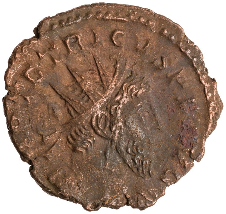 RIC V Tetricus I 127, obverse, American Numismatic Society (ans)