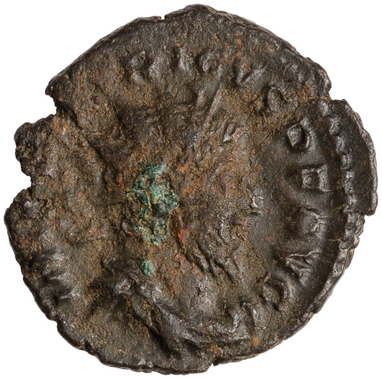 RIC V Tetricus I 127, obverse, American Numismatic Society (ans)