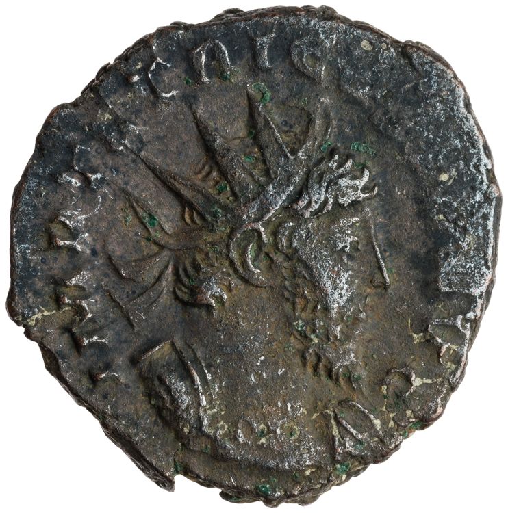 RIC V Tetricus I 127, obverse, American Numismatic Society (ans)