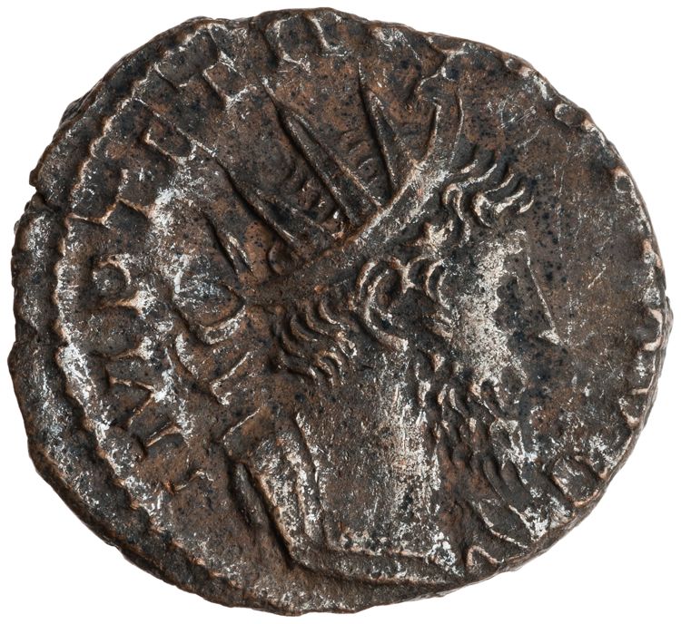 RIC V Tetricus I 127, obverse, American Numismatic Society (ans)