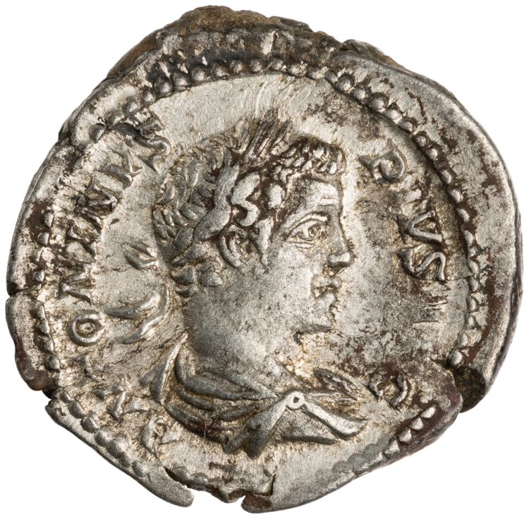 RIC IV Caracalla 83b, аверс, American Numismatic Society (ans)