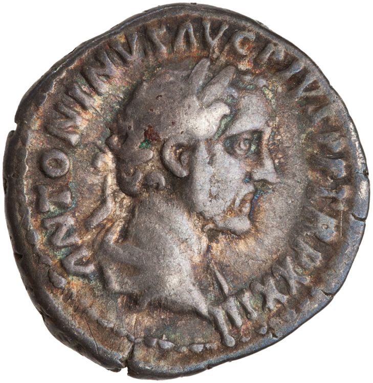 RIC III Antoninus Pius 303, аверс, American Numismatic Society (ans)