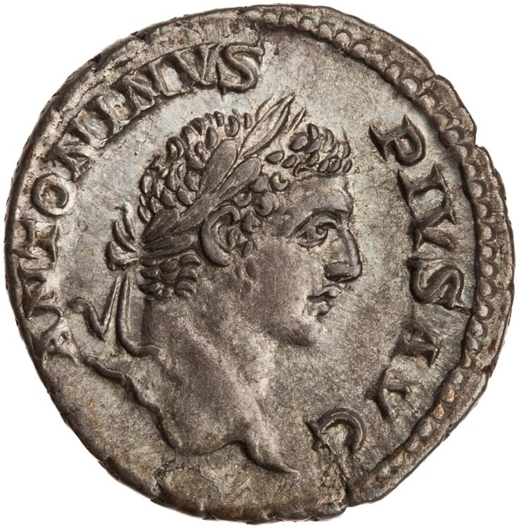 RIC IV Caracalla 168, аверс, American Numismatic Society (ans)