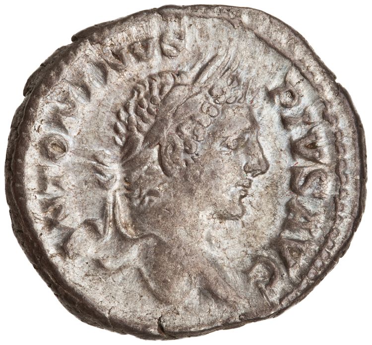 RIC IV Caracalla 204, obverse, American Numismatic Society (ans)