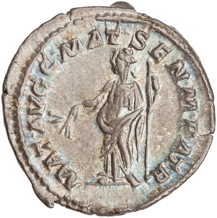 RIC IV Caracalla 380 (denarius), реверс, American Numismatic Society (ans)