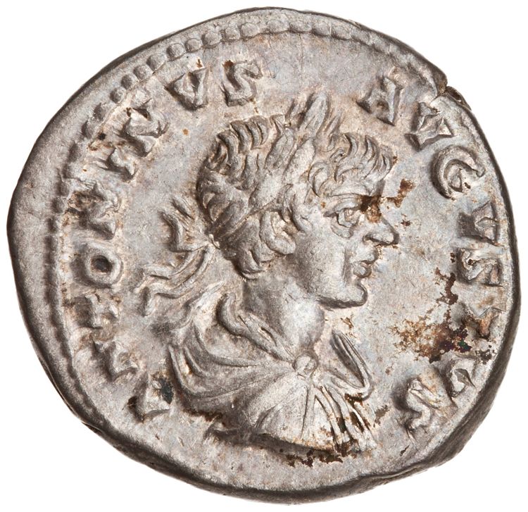 RIC IV Caracalla 354, аверс, American Numismatic Society (ans)
