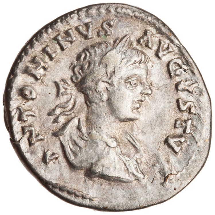 RIC IV Caracalla 344b, аверс, American Numismatic Society (ans)
