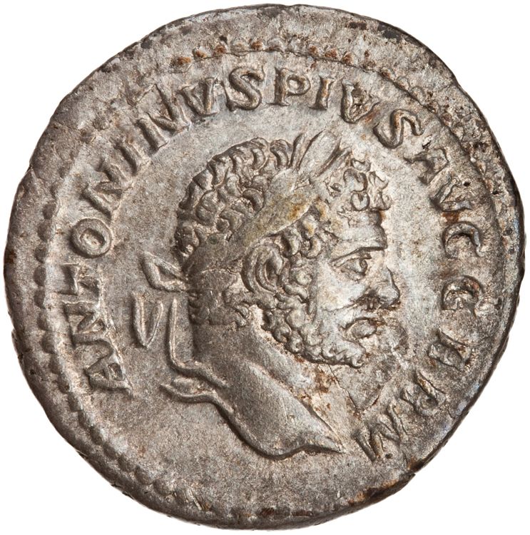 RIC IV Caracalla 266, obverse, American Numismatic Society (ans)