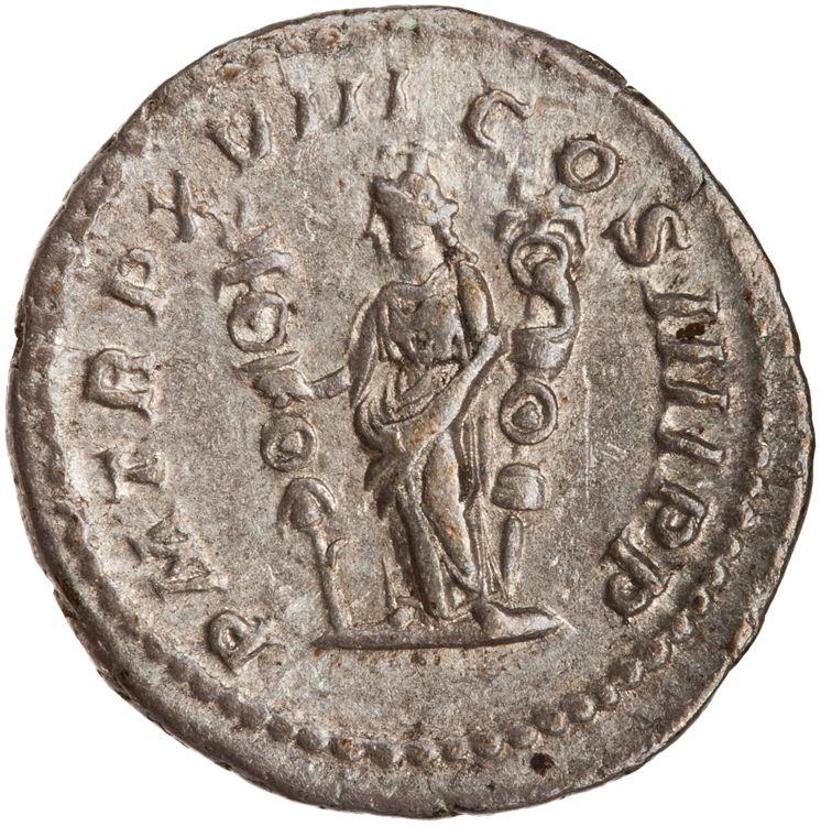 RIC IV Caracalla 266, reverse, American Numismatic Society (ans)
