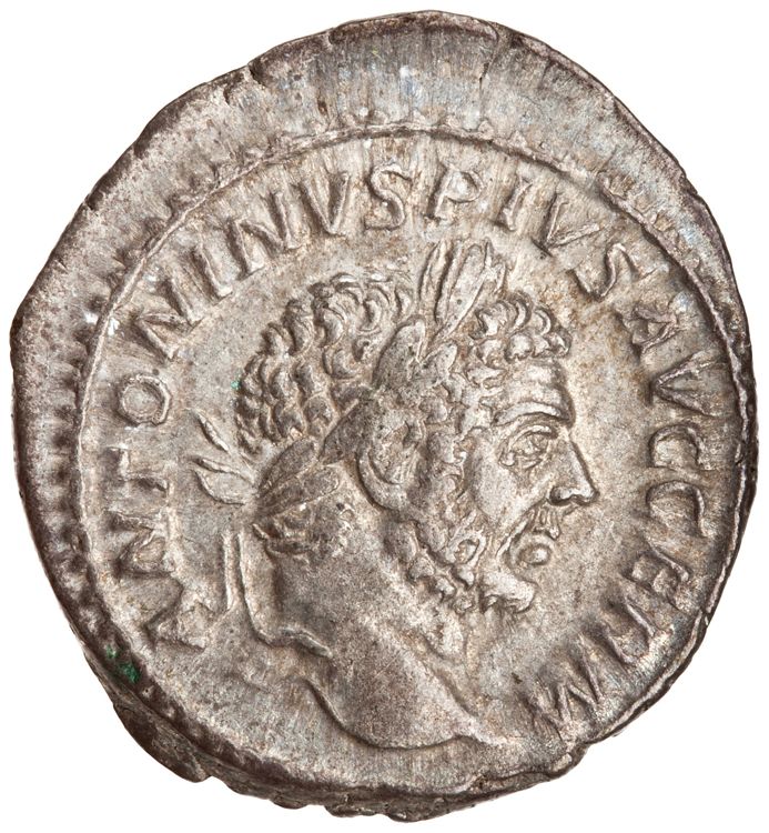 RIC IV Caracalla 254, аверс, American Numismatic Society (ans)