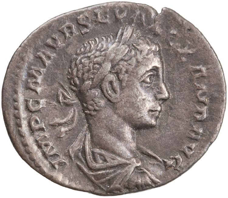 RIC IV Severus Alexander 288d, аверс, American Numismatic Society (ans)