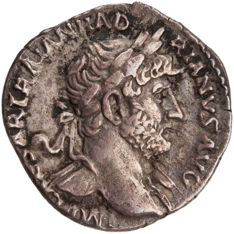 RIC II Hadrian 101b, obverse, American Numismatic Society (ans)