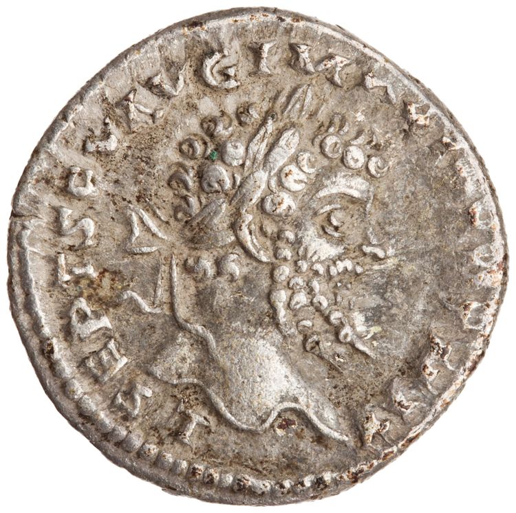 obverse RIC IV Septimius Severus 133