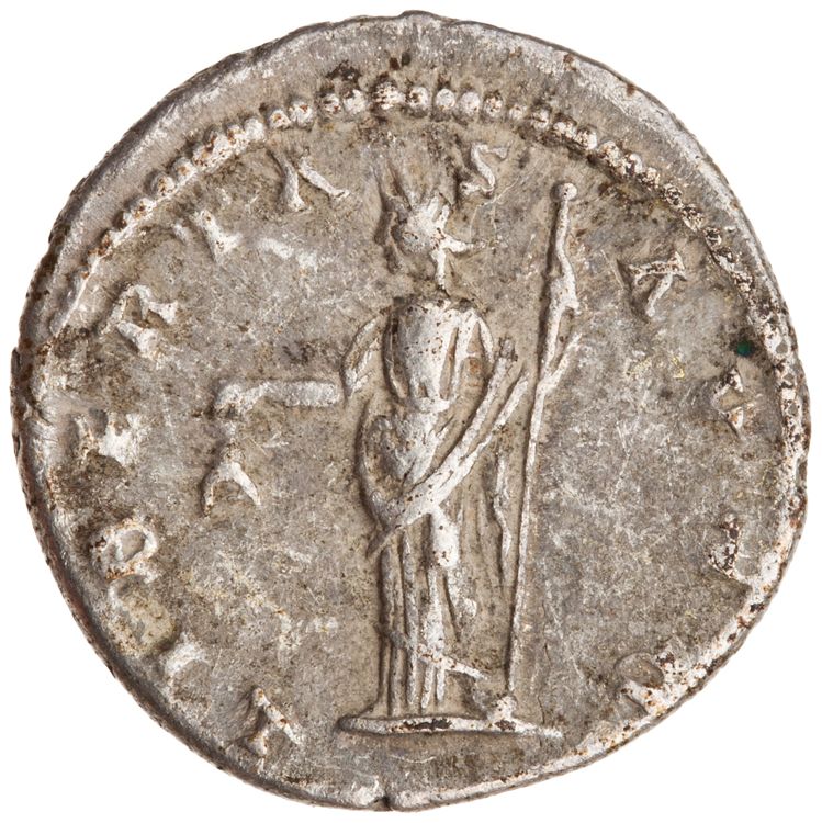 реверс RIC IV Septimius Severus 133