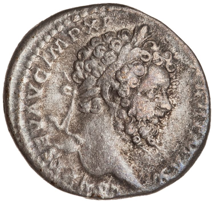 RIC IV Septimius Severus 136 (denarius), obverse, American Numismatic Society (ans)