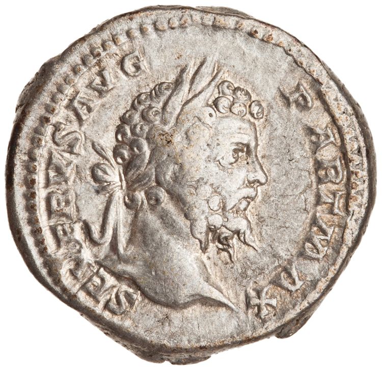 RIC IV Septimius Severus 170, аверс, American Numismatic Society (ans)
