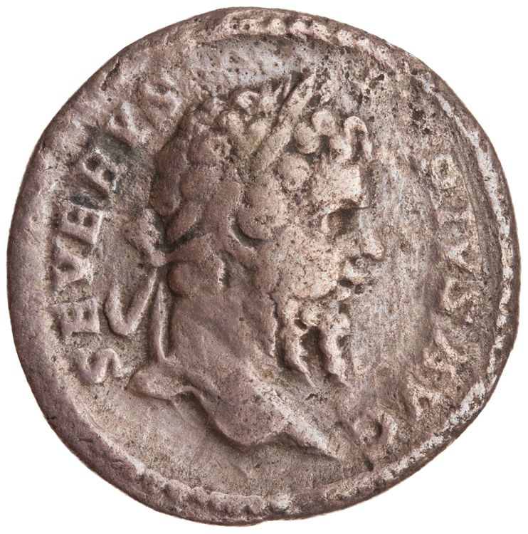 RIC IV Septimius Severus 286, obverse, American Numismatic Society (ans)
