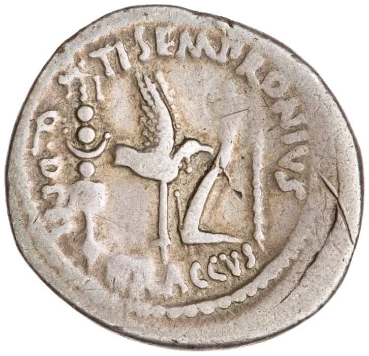 RRC 525/4b, реверс, American Numismatic Society (ans)