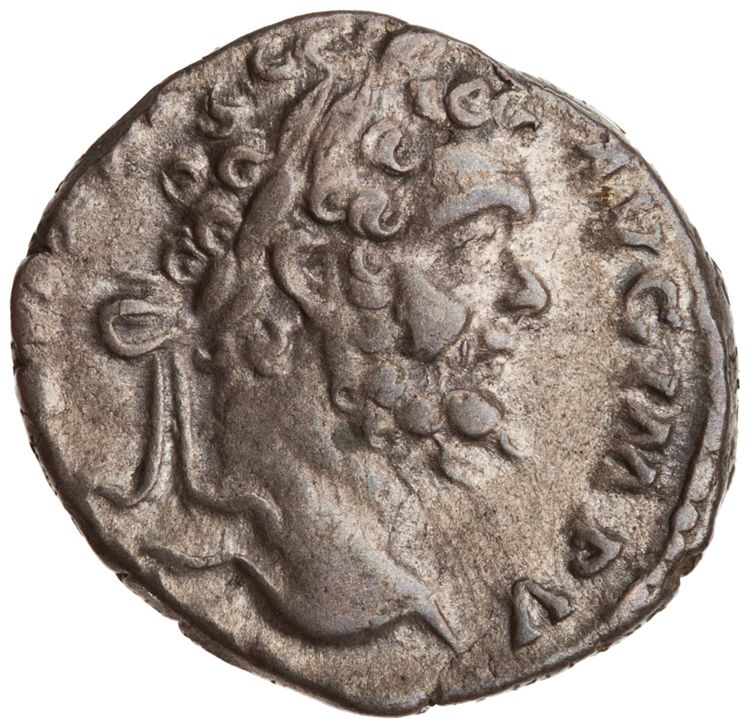 RIC IV Septimius Severus 62, аверс, American Numismatic Society (ans)