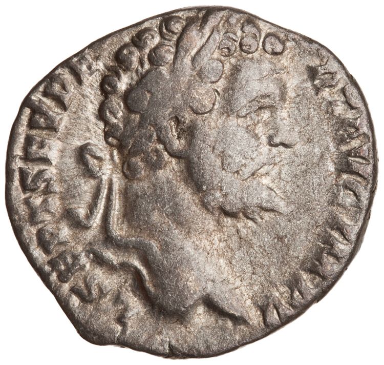 RIC IV Septimius Severus 63, аверс, American Numismatic Society (ans)