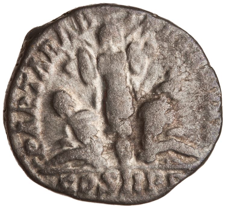 RIC IV Septimius Severus 63, реверс, American Numismatic Society (ans)