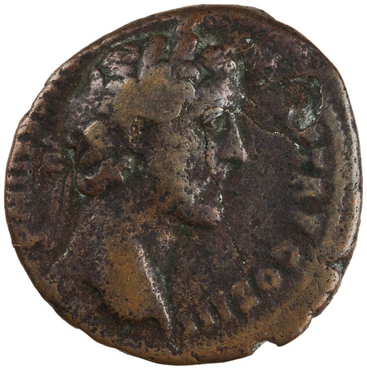 RIC III Antoninus Pius 730, аверс, American Numismatic Society (ans)