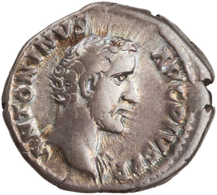 RIC III Antoninus Pius 43, аверс, American Numismatic Society (ans)